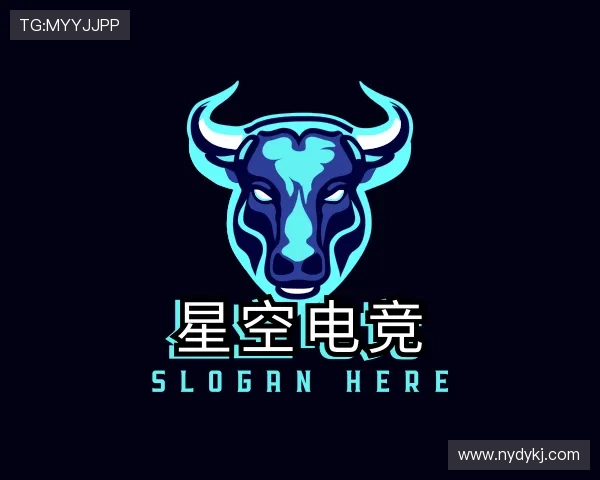 关于星空电竞